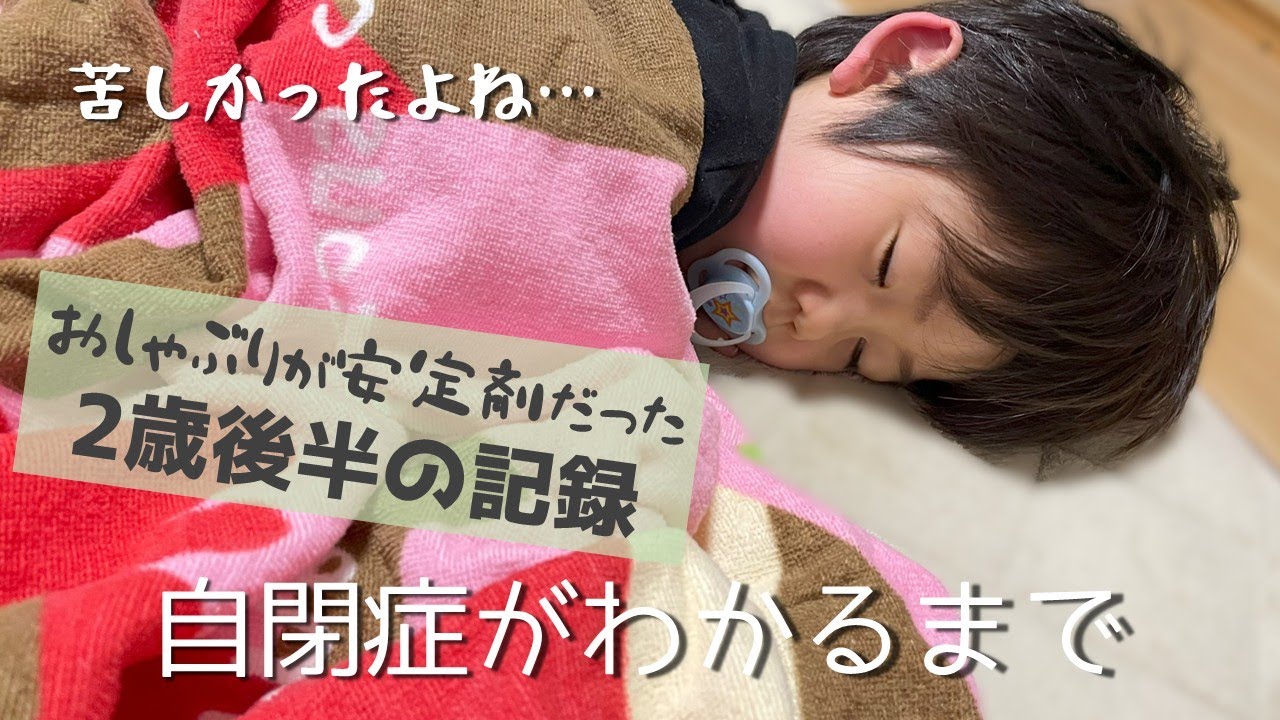 【自閉症がわかるまで】環境の変化が苦手なはずなのに適応していた2歳の記録【後半】