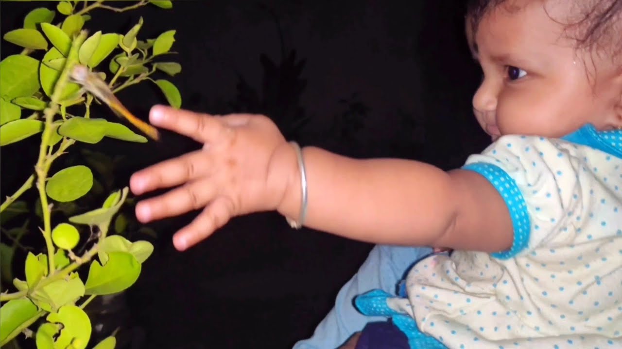Cute Baby Catching Dragonfly | Baby Playing With Fastest Flying Insect Dragonfly | Catching Insects