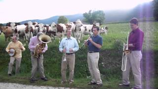 Cow Concert (unedited) - Part 2 chords