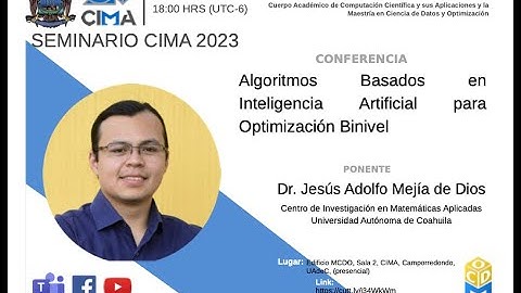 Algoritmos Basados en Inteligencia Artificial para Optimización Binivel