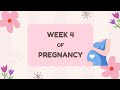 Pregnancy Week 4 Symptoms | 4th Week Pregnancy Signs, Baby Size &amp; What To Do