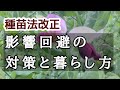 【種苗法改正】在来種で小さく豊かな生活を。お金中心の世界から卒業しよう