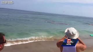 Video shows shark attack feet away from Cape Cod surfers Resimi