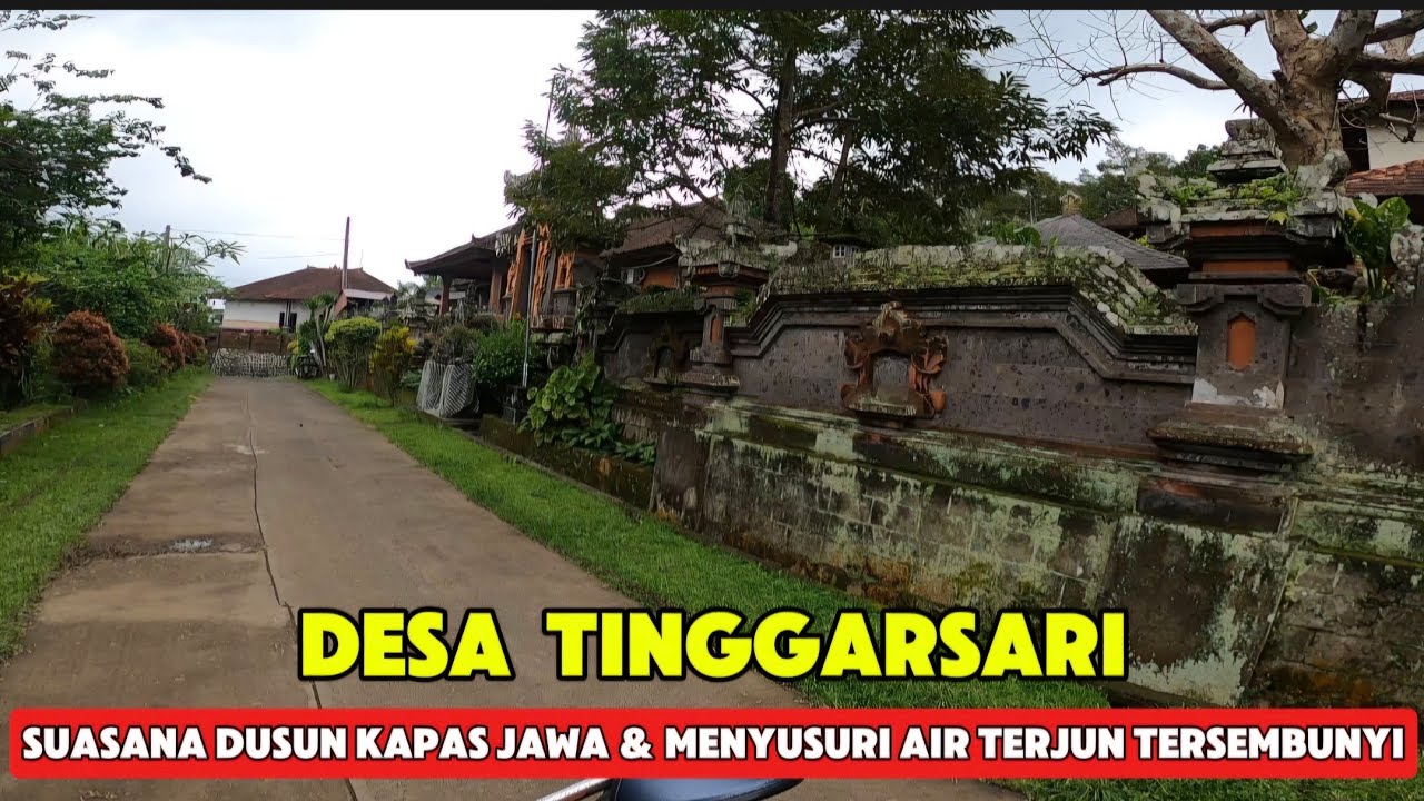 JELAJAHI DESA TINGGARSARI DUSUN KAPAS JAWA HINGGA KE AIR TERJUN