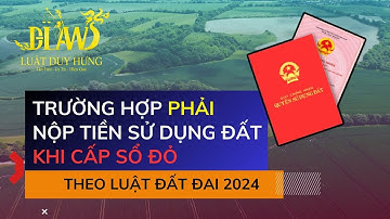 Trường Hợp Phải Nộp Tiền Sử Dụng Đất Khi Cấp Sổ Đỏ Theo Luật Đất Đai 2024 | Luật Duy Hưng