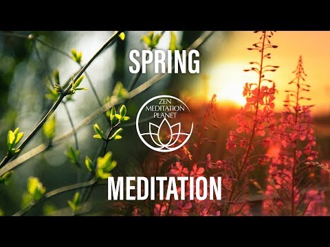 Spring Rebirth Meditation - Let Yourself Bloom On The First Day Of Spring, Spring Equinox Awakening
