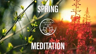 Spring Rebirth Meditation - Let Yourself Bloom on the First Day of Spring, Spring Equinox Awakening