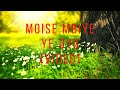 Moise Mbiye Ye Oyo (Video)