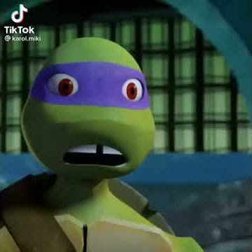 ninja turtle