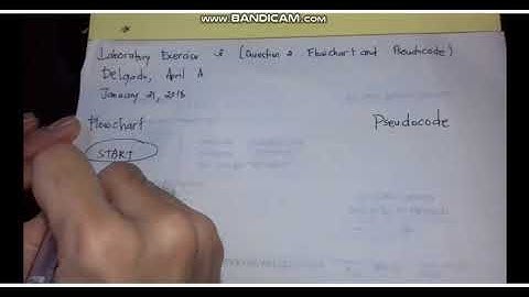 Delgado Exercise 3(q1 and 2 flowchart and pseudocode)