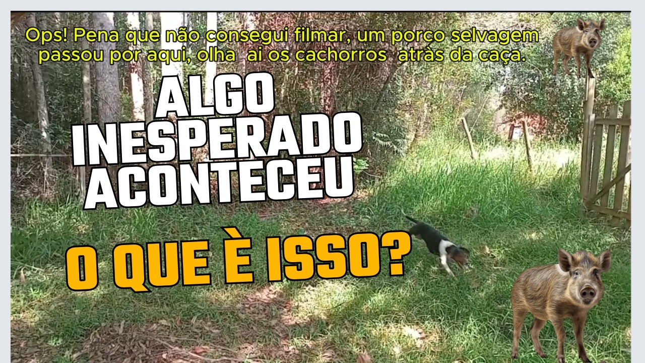 Algo insperado aconteceu uma surpresa