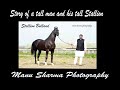 Stallion Bulland story of a tall horse and his tall owner