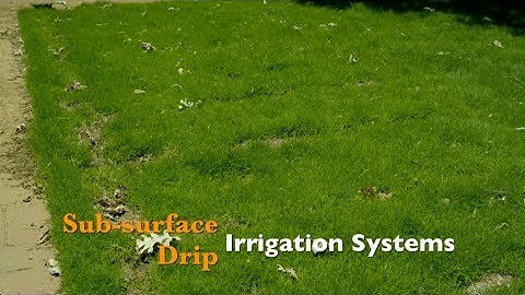 Sub-Surface Drip Irrigation Systems