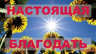 Что такое Настоящая Благодать? (Проповедь) Зинченко С.Л.