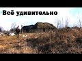 Видео дневник путешественника по Орловской области  , день 6, серия 12