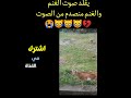 يقلد صوت الماعز نسخ لصق سبحان الله Shorts 