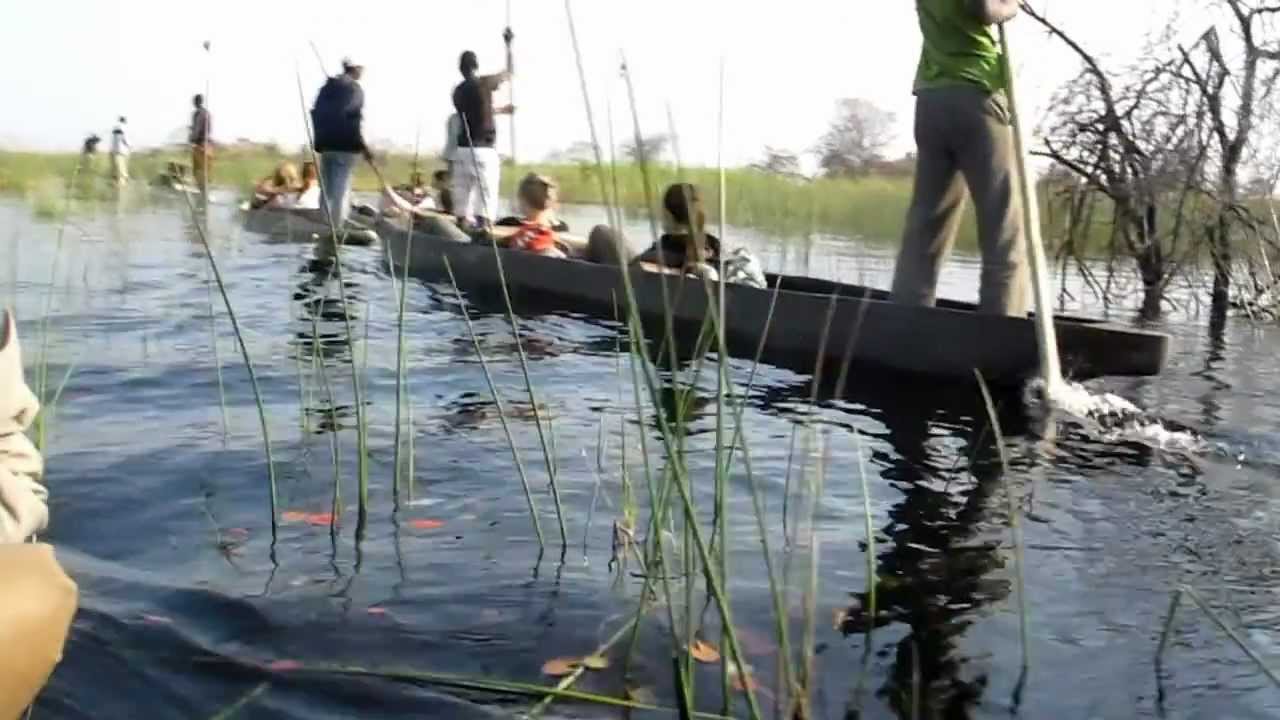 mokoro dugout canoe along okavango river,delta botswana