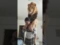 wait for end 😱 #viral #trending #youtube #shortvideo #lion #song