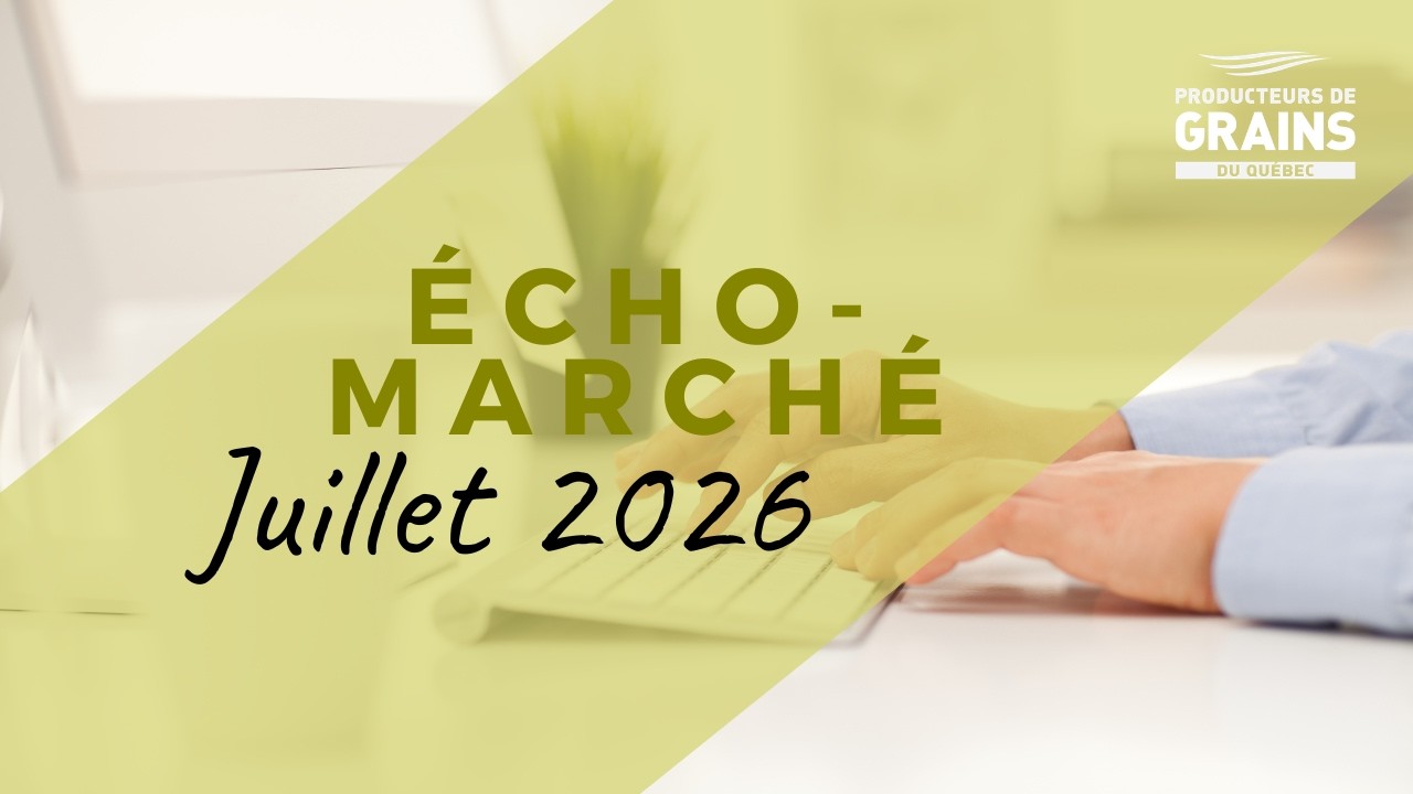 Écho-Marché - Juillet 2026