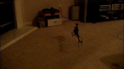 T-Rex 450SE V2 test hover