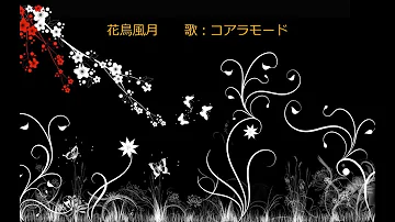 花鳥 風月 コアラ モード