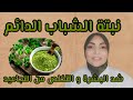 نبتة الشباب الدائم للتخلص من أمراض الشيخوخة و الحفاظ على البشرة من التجاعيد