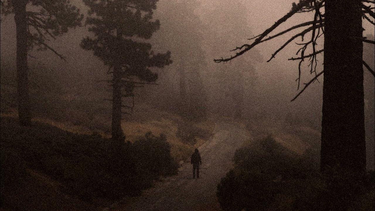 the-pain-of-recalling-memories-of-an-empty-life-playlist-youtube-music