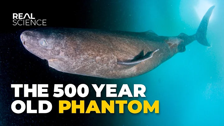The Insane Biology of: The Greenland Shark