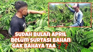 surtasi bahan, sekaligus final bahan❗️mas sutri langsung praktek😱