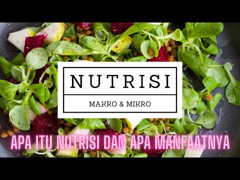Video: Mengapa nutrien penting?