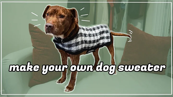 Easy DIY Dog Sweater for Your Furry Friend