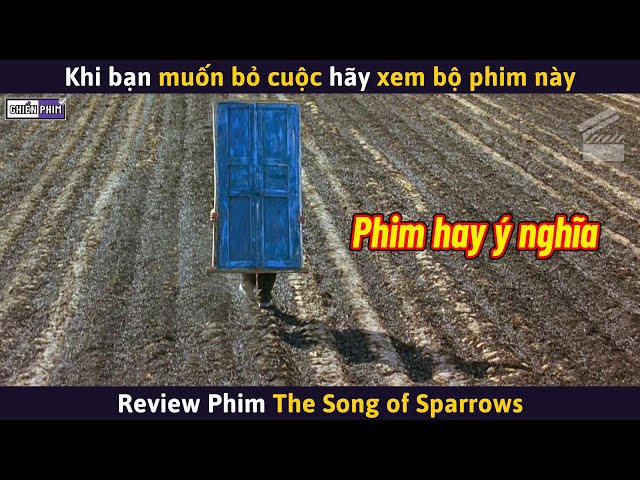 Review Phim Hay Ý Nghĩa: Khám Phá Bộ Sưu Tập Phim Gây Cảm Hứng Mạnh Mẽ