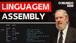 O Mundo Sem Assembly: Você Não Imagina O Que Mudaria!