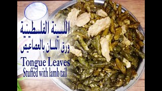 كيفية طبخ اللسينة (ورق اللسان) الفلسطينية مع العصاعيص او العكاوي ..How to cook stuffed tongue leaves