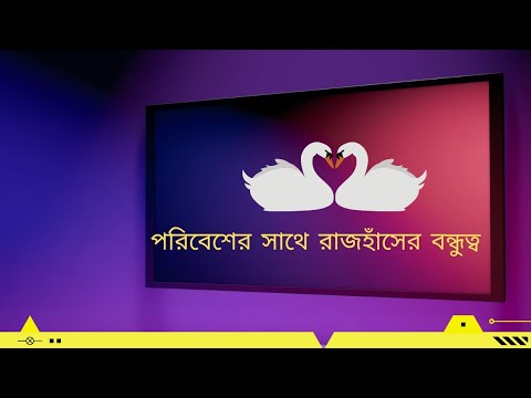 ভিডিও: পরিবেশগত বন্ধুত্ব