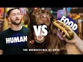 Which do dogs prefer you or food