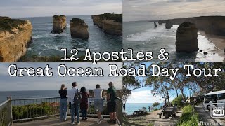 Epic Great Ocean Road Tour from Melbourne | 12 Apostles, Rainforest Walk & Wildlife Spotting