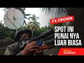 Spot Istimewa Berburu Burung Punai