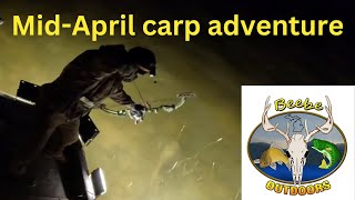 Mid-April Bowfishing Adventure: Targeting Big Common Carp