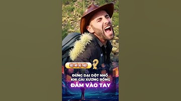 ĐỪNG DẠI DỘT NHỔ GAI XƯƠNG RỒNG #kienthucthuvi #khampha #khoahoc  #kienthuc #cothebanchuabiet