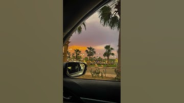 أَمَّنْ خَلَقَ السَّمَاوَاتِ وَالْأَرْضَ | للقارئ الشيخ ياسر الدوسري #القرآن_الكريم #ياسر_الدوسري