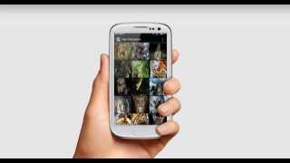 Tiger Wallpapers App Android screenshot 5