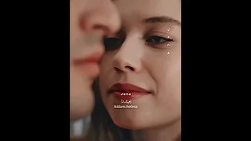 تبقى أغلى الحبايب نوال الزغبي حالات واتس 