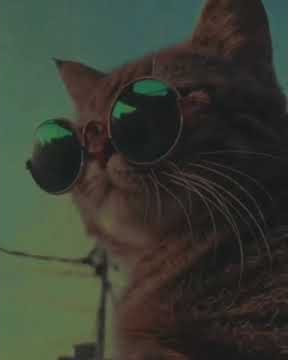 Mandek Nangis | Sad Story | Story Wa 30 Detik | Story Wa kekinian | Story Wa Terbaru 2021