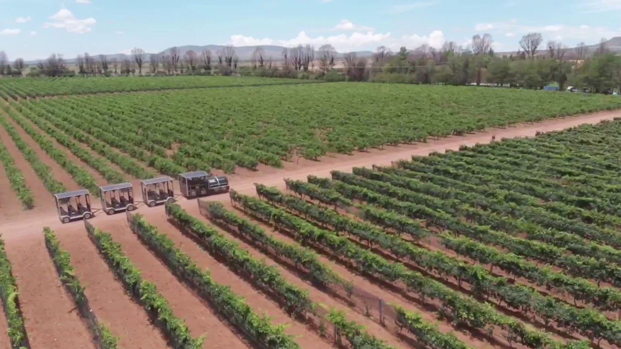 Campo Real Zacatecas YouTube