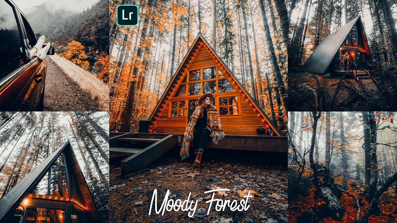 Premium Forest Preset (Moody) - Lightroom Mobile Presets DNG & XMP Free Download