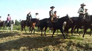 Preview Circle -A- Riders Trail Ride 2014