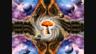 Joe Rogan- The Stoned Ape Theory
