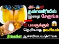       kitchen tips in tamiltamiltipsroyaltamilkichen