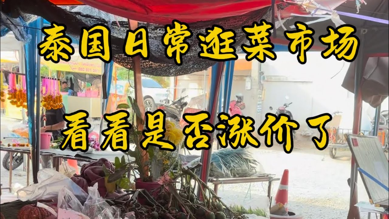 逛一逛泰国菜市场 朋友们觉得泰国的物价贵吗？￼￼